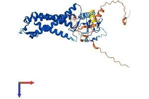 AlphaFold protein structure predicition of Human Recombinant ZDHHC11B Protein, UniprotID P0C7U3