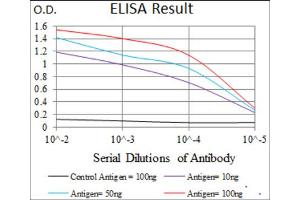 ELISA image for anti-ATP Citrate Lyase (ACLY) (AA 306-502) antibody (ABIN1842880)