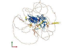 Protein Structure (PS) image for Suppression of Tumorigenicity 5 (ST5) (AA 1-1137) protein (His tag) (ABIN7555617)