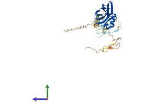 Protein Structure (PS) image for Protein Phosphatase 1, Regulatory Subunit 3B (PPP1R3B) (AA 1-284) protein (His tag) (ABIN7559180)