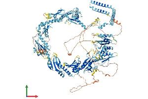 AlphaFold protein structure predicition of Mouse Recombinant Med14 Protein, UniprotID A2ABV5