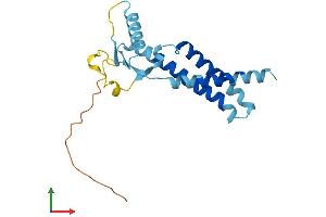 AlphaFold protein structure predicition of Mouse Recombinant Tmem11 Protein, UniprotID Q8BK08