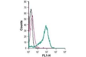 Cell surface detection of Nogo Receptor in live intact human THP-1 monocytic leukemia cells: (black line) Cells. (RTN4R 抗体  (Extracellular))