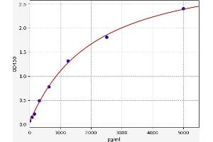 Enolase 2 (Gamma, Neuronal) (ENO2) ELISA Kit