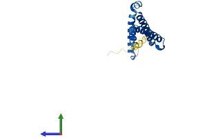 Protein Structure (PS) image for C1D Nuclear Receptor Corepressor (C1D) (AA 1-141) protein (His tag) (ABIN7552821)