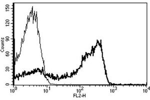 Flow Cytometry (FACS) image for anti-CD2 (CD2) antibody (Biotin) (ABIN1106020) (CD2 抗体  (Biotin))