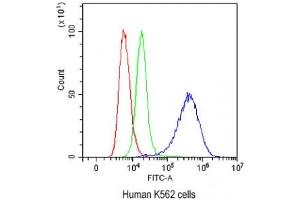 Flow Cytometry (FACS) image for anti-Nuclear Factor I/A (NFIA) (AA 180-224) antibody (ABIN5647218)