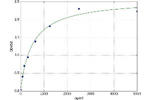 Baculoviral IAP Repeat-Containing 5 (BIRC5) ELISA Kit