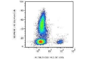 Surface staining of human peripheral blood leukocytes with anti-human CD19 (4G7) biotin. (CD19 抗体  (Biotin))