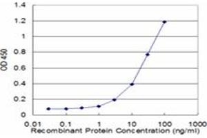 Detection limit for recombinant GST tagged APCS is approximately 3ng/ml as a capture antibody. (APCS 抗体  (AA 35-149))