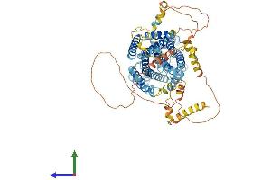 Protein Structure (PS) image for Solute Carrier Family 12 (Potassium/chloride Transporters), Member 8 (Slc12a8) (AA 1-714) protein (His tag) (ABIN7555294)