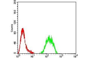 Flow cytometric analysis of Hela cells using KMT2C mouse mAb (green) and negative control (red). (MLL3 抗体  (AA 1-205))