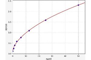 Heat Shock Protein 27 (HSP27) ELISA Kit