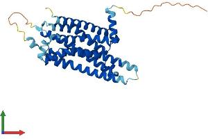 AlphaFold protein structure predicition of Human Recombinant ADORA2B Protein, UniprotID P29275 (Adenosine A2b Receptor Protein (ADORA2B) (AA 1-332) (His tag))
