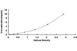 Optineurin (OPTN) ELISA Kit