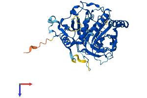 Chromosome 15 Open Reading Frame 58 (C15orf58) (AA 1-385) protein (His tag)