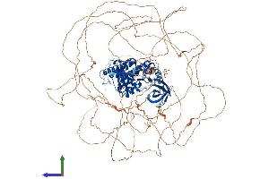 AlphaFold protein structure predicition of Mouse Recombinant Hipk1 Protein, UniprotID O88904