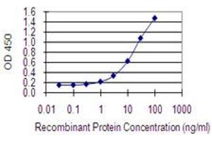 Detection limit for recombinant GST tagged COX4NB is 0. (COX4NB 抗体  (AA 113-210))