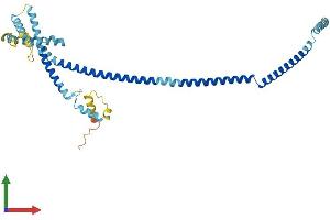 Protein Structure (PS) image for HAUS Augmin-Like Complex, Subunit 4 (HAUS4) (AA 1-363) protein (His tag) (ABIN7548260)