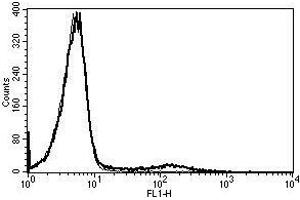 A typical staining pattern with the B-F1 monoclonal antibody of lymphocytes