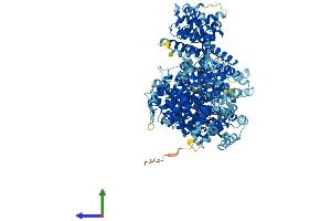 Protein Structure (PS) image for Mediator Complex Subunit 23 (MED23) (AA 1-1368) protein (His tag) (ABIN7554532)