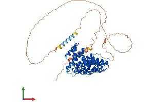 Protein Structure (PS) image for Armadillo Repeat Containing, X-Linked 1 (ARMCX1) (AA 1-453) protein (His tag) (ABIN7552357)