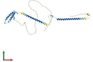Protein Structure (PS) image for Kinetochore-associated protein DSN1 homolog (DSN1) (AA 1-356) protein (His tag) (ABIN7547263)