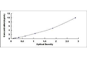 Annexin A7 (ANXA7) ELISA Kit