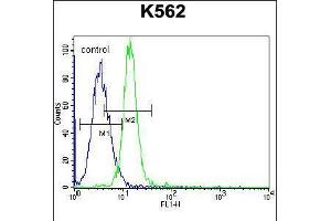 Flow Cytometry (FACS) image for anti-Potassium Voltage-Gated Channel, Subfamily H (Eag-Related), Member 2 (KCNH2) (AA 861-888) antibody (ABIN5533125)
