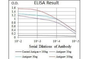 Black line: Control Antigen (100 ng), Purple line: Antigen(10 ng), Blue line: Antigen (50 ng), Red line: Antigen (100 ng), (CEBPA 抗体)