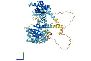 Protein Structure (PS) image for Insulin-Like Growth Factor 2 mRNA Binding Protein 1 (IGF2BP1) (AA 1-577) protein (His tag) (ABIN7554130)