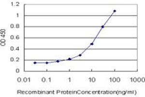 Detection limit for recombinant GST tagged STIM1 is approximately 0. (STIM1 抗体  (AA 24-685))