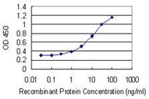 Detection limit for recombinant GST tagged PARK2 is 0. (Parkin 抗体  (AA 288-387))