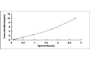 Typical standard curve (HINT1 ELISA 试剂盒)