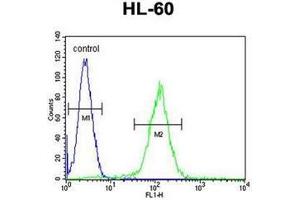Flow Cytometry (FACS) image for anti-Olfactory Receptor, Family 10, Subfamily J, Member 5 (OR10J5) (AA 250-278), (C-Term) antibody (ABIN953822)