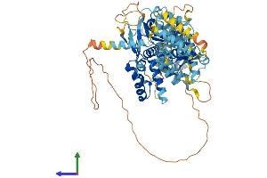 Protein Structure (PS) image for NLR Family, Pyrin Domain Containing 10 (NLRP10) (AA 1-655) protein (His tag) (ABIN7554697)