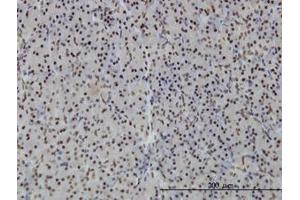 Image no. 1 for anti-Polymerase I and Transcript Release Factor (PTRF) (AA 233-322) antibody (ABIN599342) (PTRF 抗体  (AA 233-322))