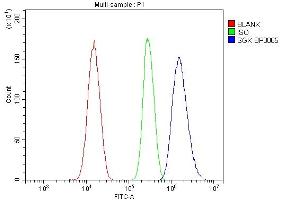Flow Cytometry analysis of SiHa cells using anti-SGK1 antibody (ABIN7603118).
