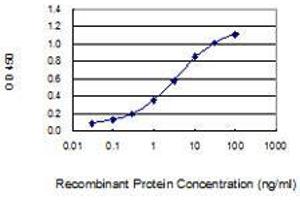 Detection limit for recombinant GST tagged APOB is 0. (APOB 抗体  (AA 28-127))
