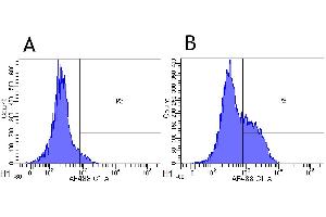 Flow-cytometry using anti-CD52 antibody Campath-1H   Rhesus monkey lymphocytes were stained with an isotype control (panel A) or the rabbit-chimeric version of Campath-1H (panel B) at a concentration of 1 µg/ml for 30 mins at RT. (Recombinant CD52 抗体)