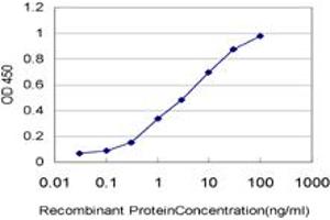 Detection limit for recombinant GST tagged ARAF is approximately 0. (ARAF 抗体  (AA 151-250))