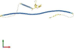 AlphaFold protein structure predicition of Human Recombinant TUFT1 Protein, UniprotID Q9NNX1