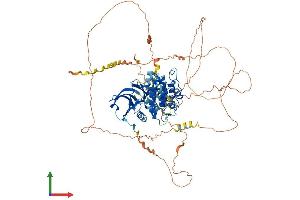 AlphaFold protein structure predicition of Mouse Recombinant Dclk3 Protein, UniprotID Q8BWQ5 (DCLK3 Protein (AA 1-790) (His tag))
