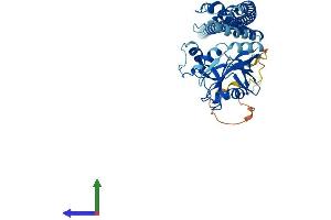 Protein Structure (PS) image for STAM Binding Protein (STAMBP) (AA 1-424) protein (His tag) (ABIN7555604)