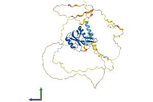AlphaFold protein structure predicition of Human Recombinant BLNK Protein, UniprotID Q8WV28