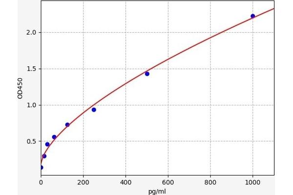 AKT2 ELISA 试剂盒