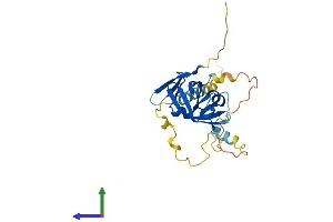 Protein Structure (PS) image for Nuclear Receptor Interacting Protein 3 (NRIP3) (AA 1-241) protein (His tag) (ABIN7549939)