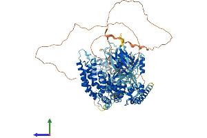 Protein Structure (PS) image for RAS P21 Protein Activator (GTPase Activating Protein) 1 (RASA1) (AA 1-1047) protein (His tag) (ABIN7555149)