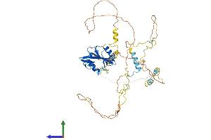 AlphaFold protein structure predicition of Mouse Recombinant Shb Protein, UniprotID Q6PD21