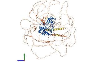 Protein Structure (PS) image for tau Tubulin Kinase 1 (Ttbk1) (AA 1-1308) protein (His tag) (ABIN7564112)